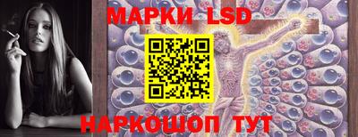 прущие крисы Будённовск