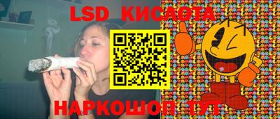прущие крисы Будённовск