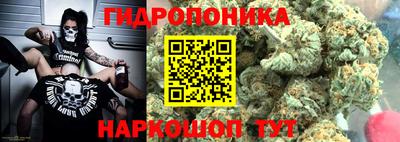 прущие крисы Будённовск