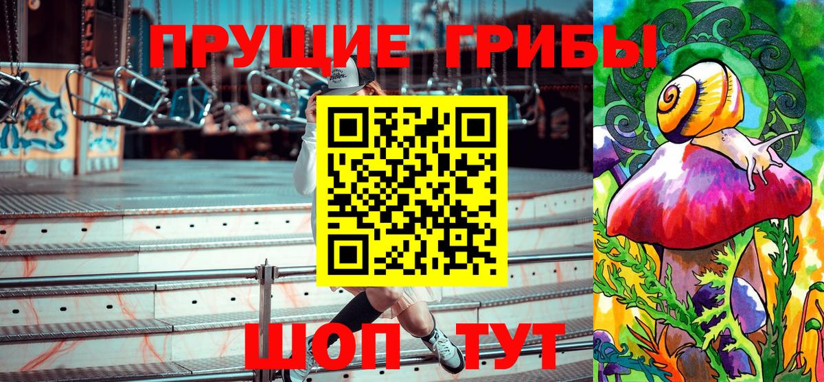 Галлюциногенные грибы прущие грибы Северск